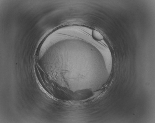 X0000080690941200701121721