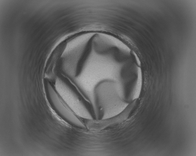 X0000080690942200701121721