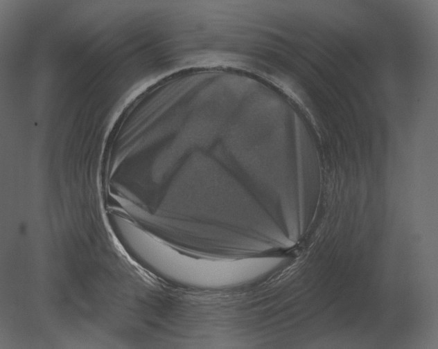 X0000080690943200701121721