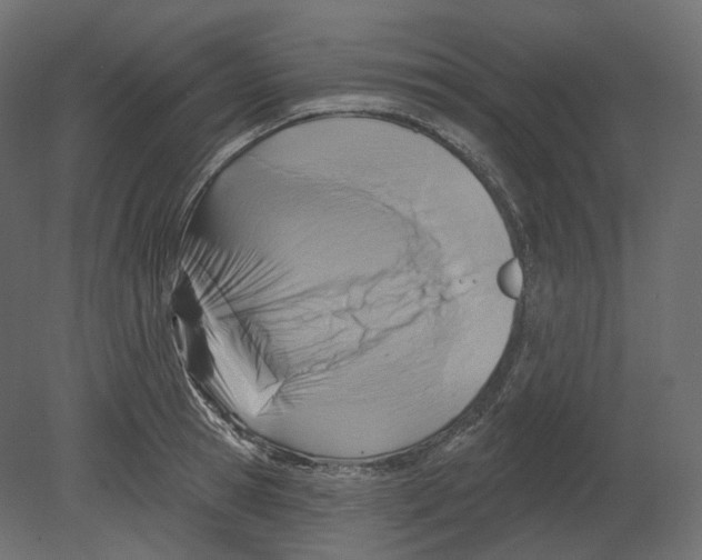 X0000080690945200701121721