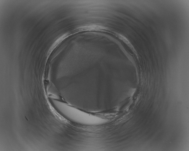 X0000080690946200701121721