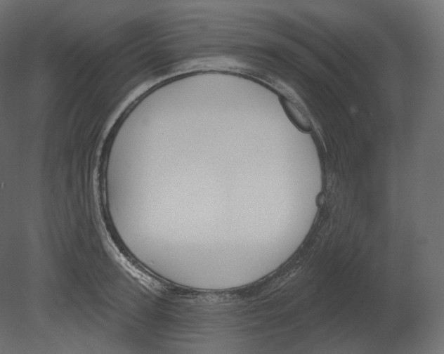 X0000080690947200701121721