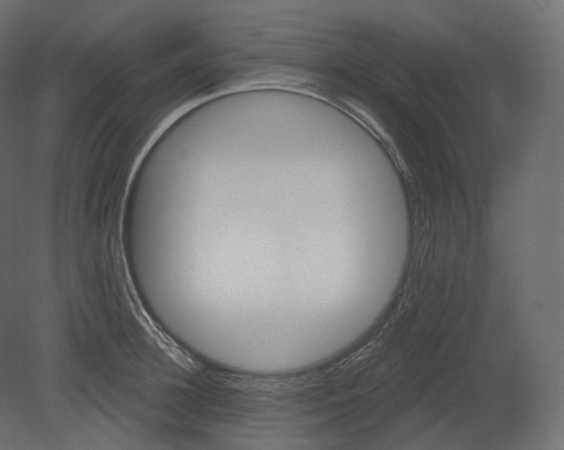 X0000080690948200701121721