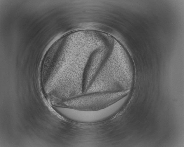 X0000080690949200701121721