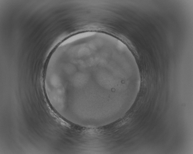 X0000080690950200701121721