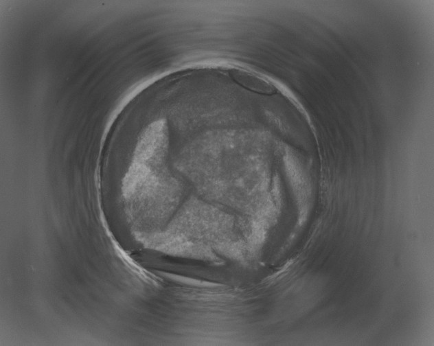 X0000080690951200701121721