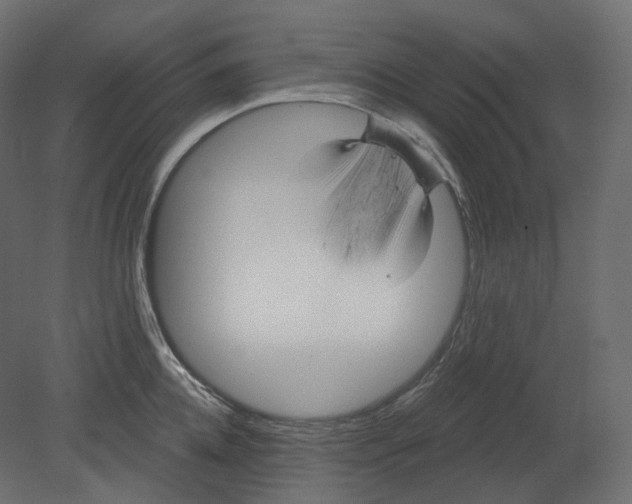 X0000080690952200701121721