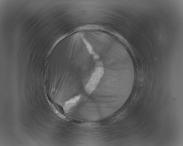 X0000080690953200701121721