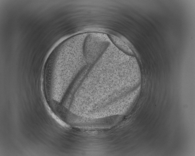 X0000080690955200701121721