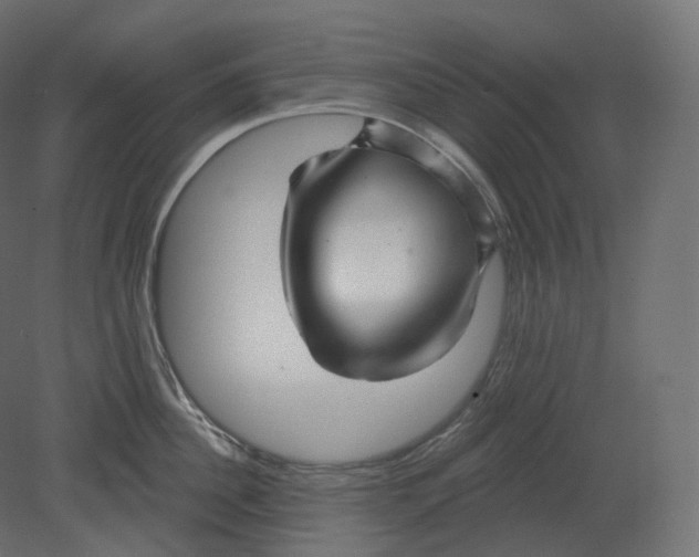 X0000080690956200701121721