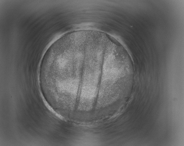 X0000080690957200701121722