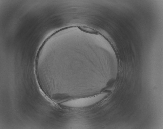 X0000080690958200701121722