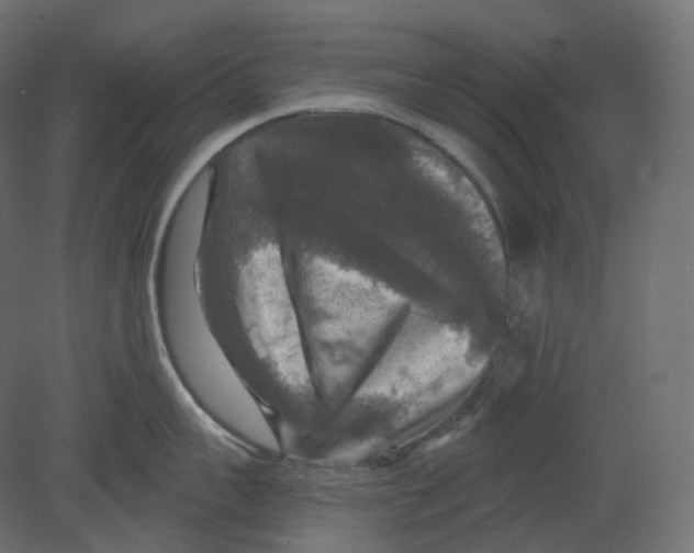 X0000080690959200701121722