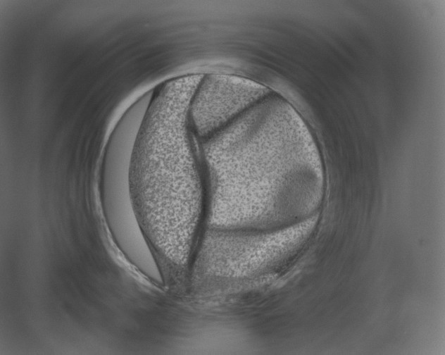 X0000080690960200701121722