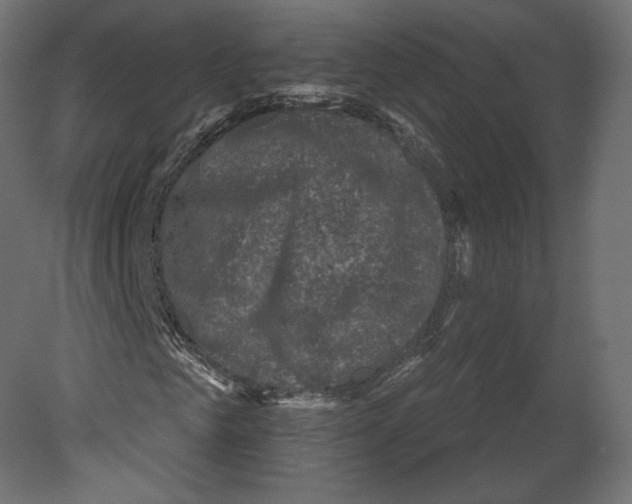 X0000080690961200701121721