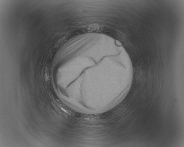 X0000080690962200701121721