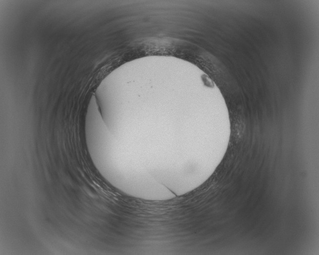 X0000080690964200701121721