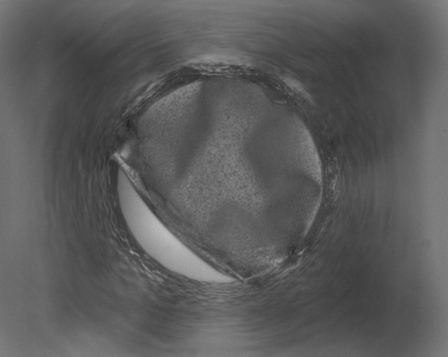 X0000080690965200701121721