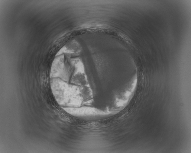 X0000080690966200701121721