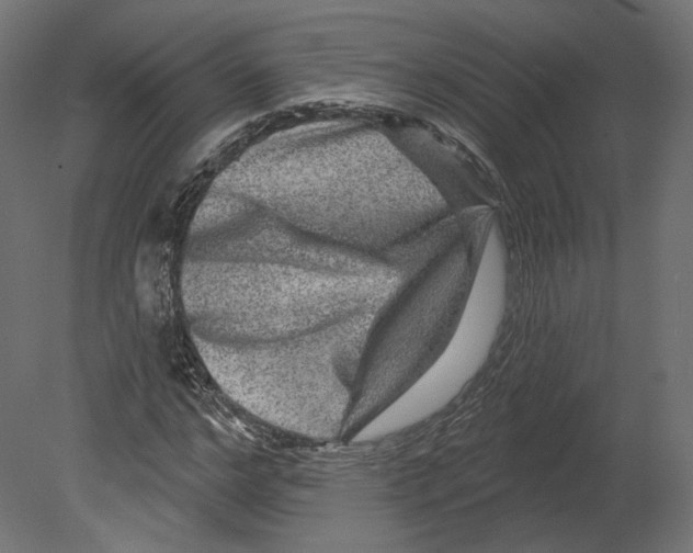 X0000080690968200701121721