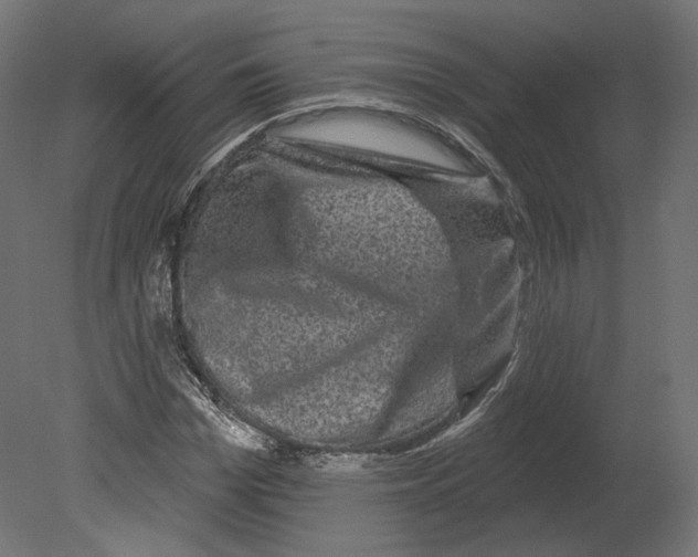 X0000080690969200701121721