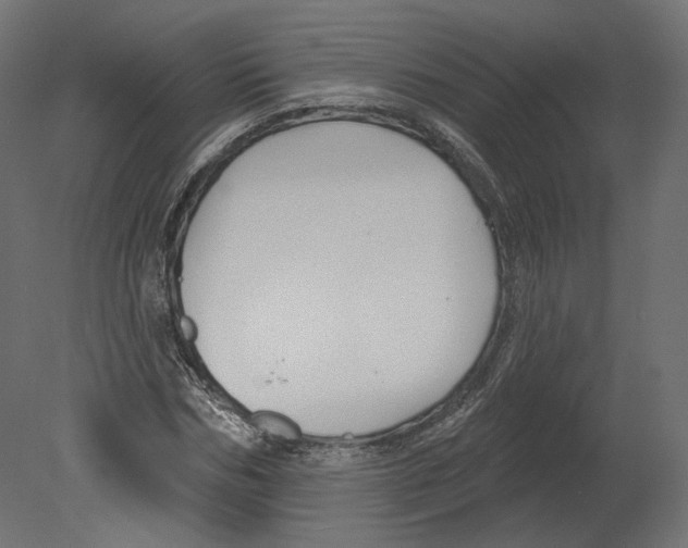 X0000080690970200701121721