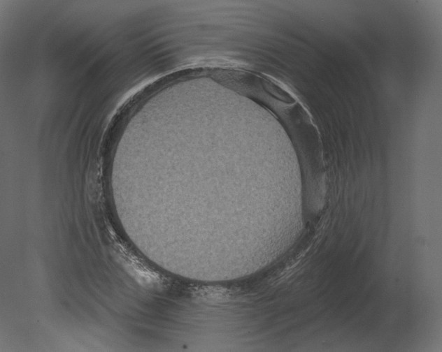 X0000080690971200701121721