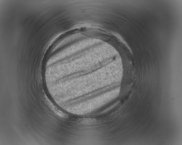 X0000080690972200701121721