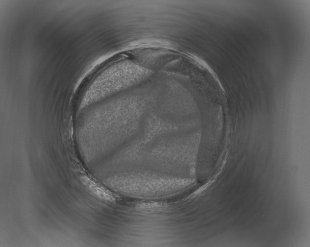 X0000080690973200701121721