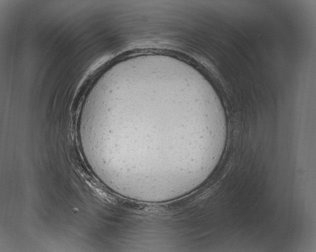 X0000080690974200701121721