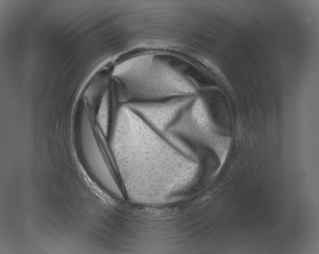 X0000080690976200701121720