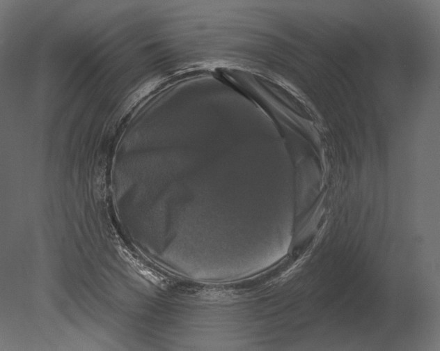 X0000080690977200701121720