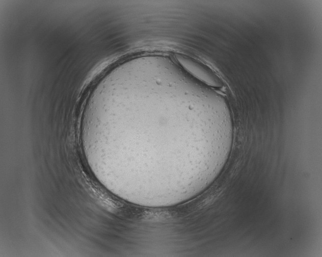 X0000080690978200701121720