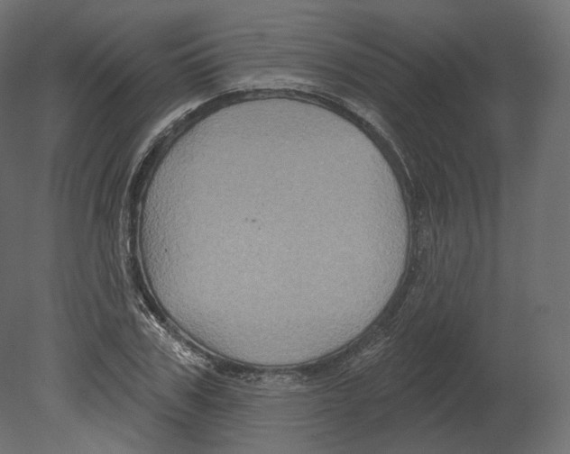 X0000080690979200701121720