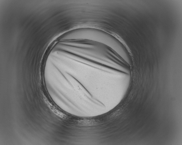 X0000080690980200701121720