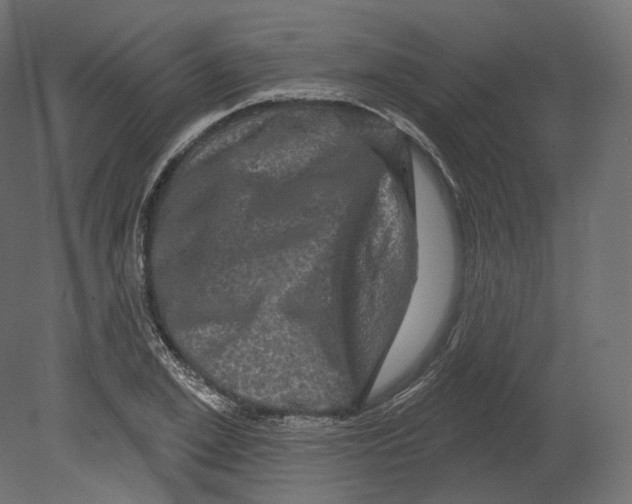 X0000080690981200701121720