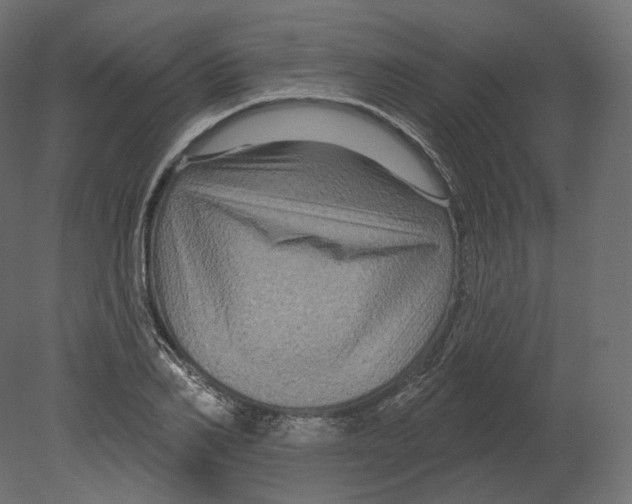 X0000080690982200701121720