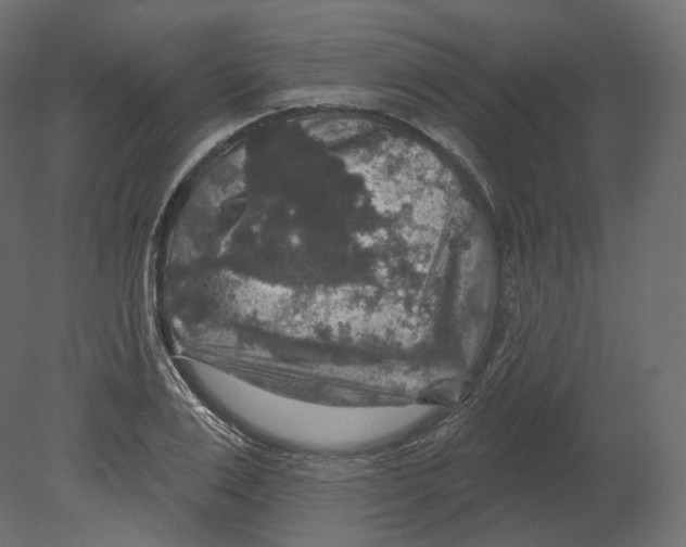 X0000080690983200701121720