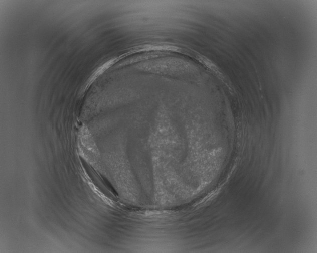 X0000080690985200701121720