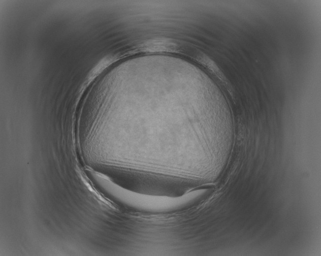 X0000080690986200701121720