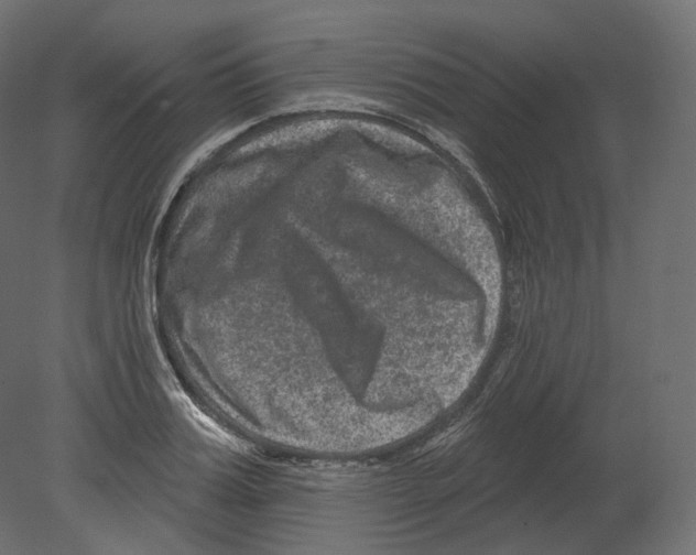 X0000080690987200701121720