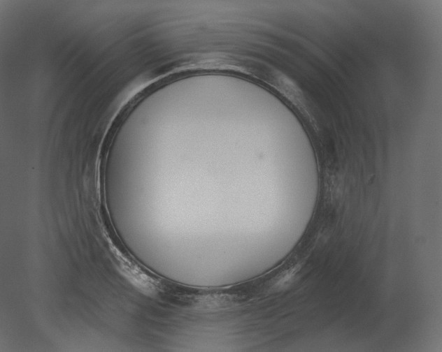 X0000080690988200701121720