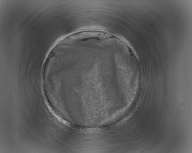 X0000080690989200701121720