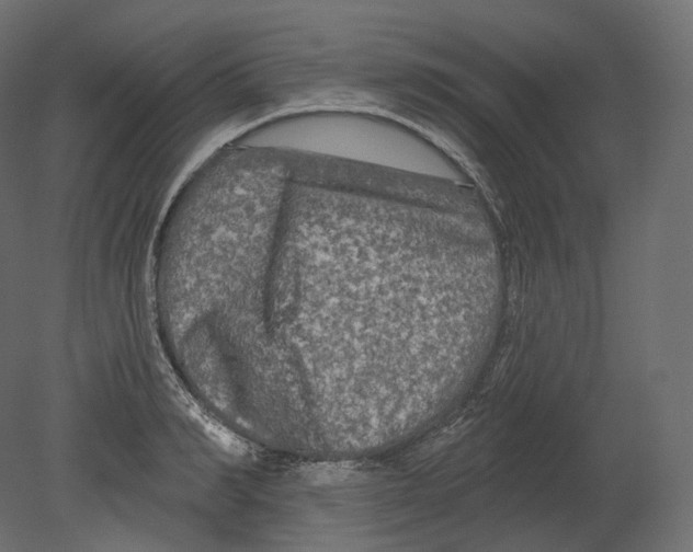 X0000080690990200701121720