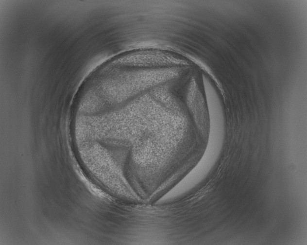 X0000080690991200701121720