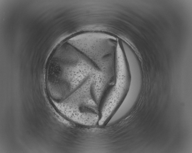 X0000080690992200701121720