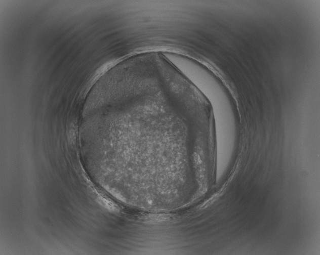 X0000080690993200701121720