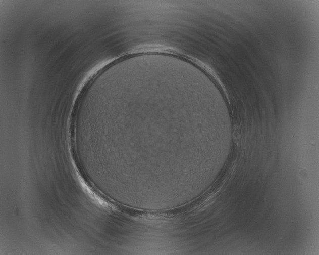 X0000080690995200701121720