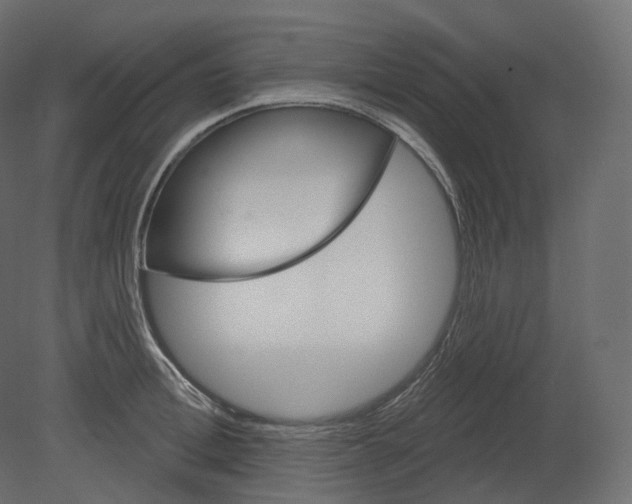 X0000080690996200701121720