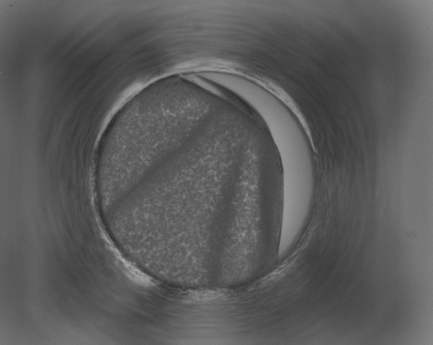 X0000080690997200701121720